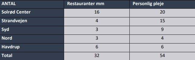 Antal serviceerhverv i Solrød Kommune, hentet fra detailhandelsanalysen fra 2024